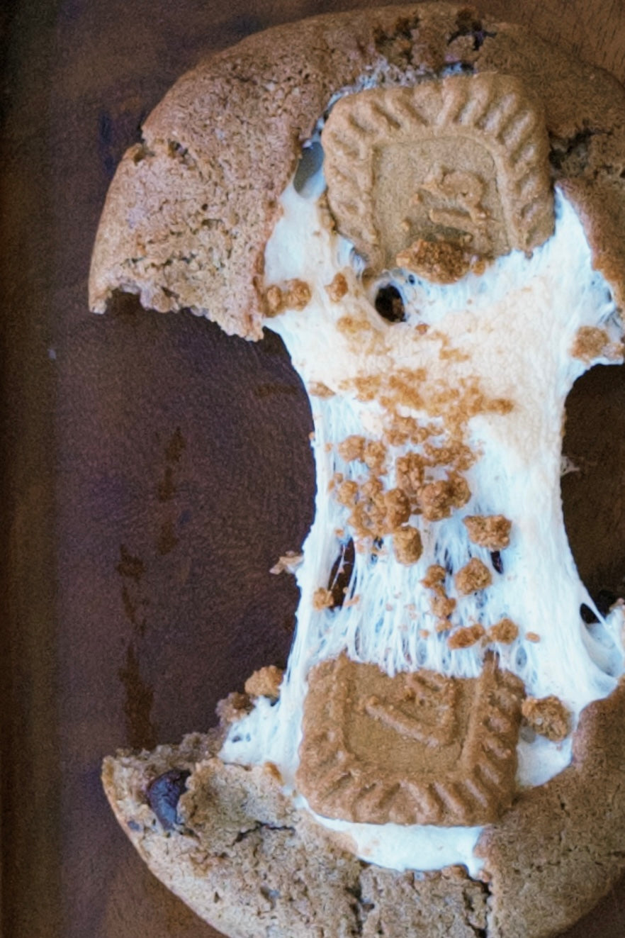 Biscoff S’mores Dark Chocolate